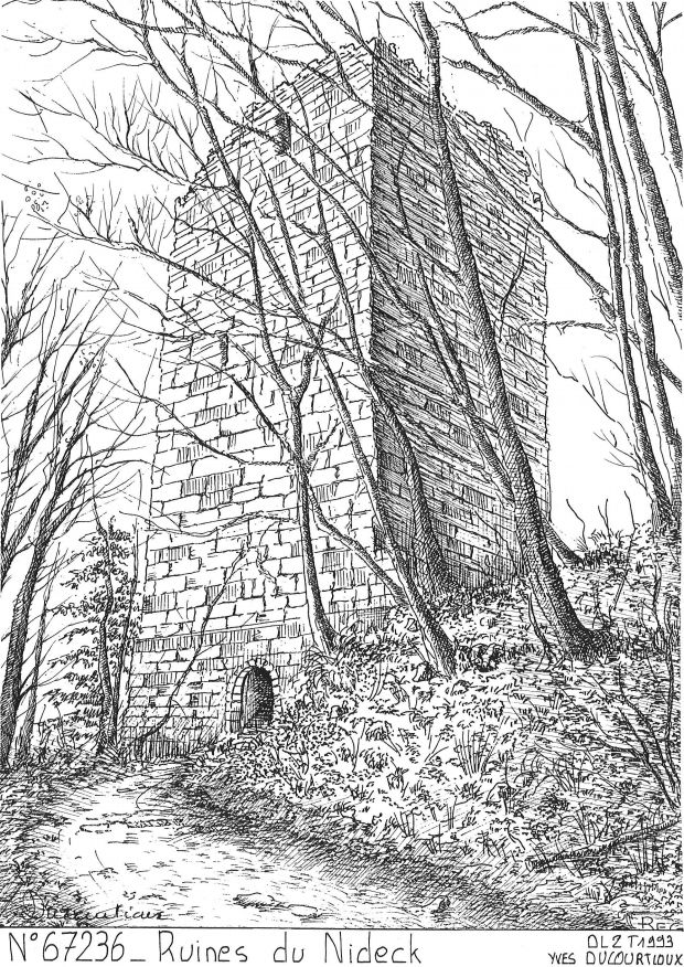 N 67236 - OBERHASLACH - ruines du nideck