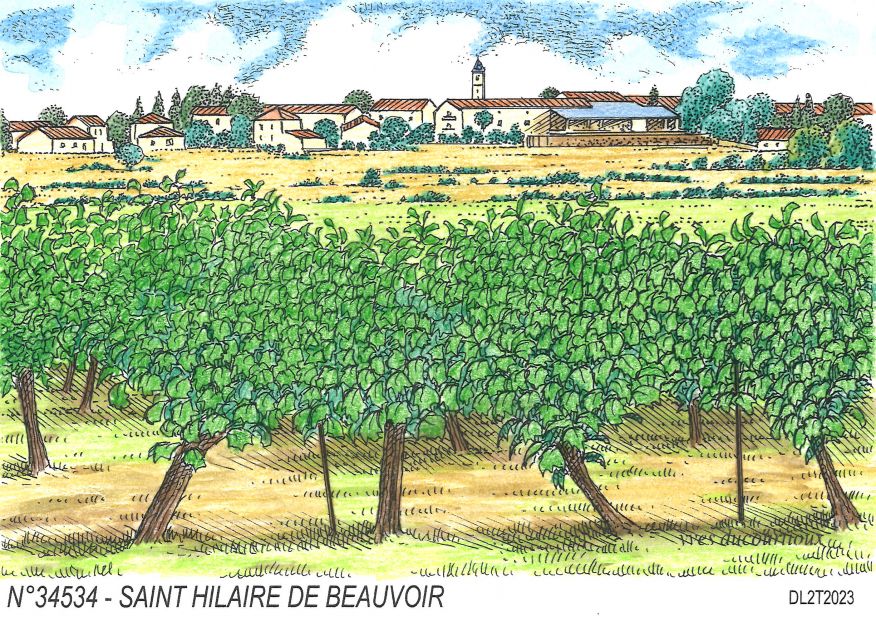 N 34534 - ST HILAIRE DE BEAUVOIR - vue