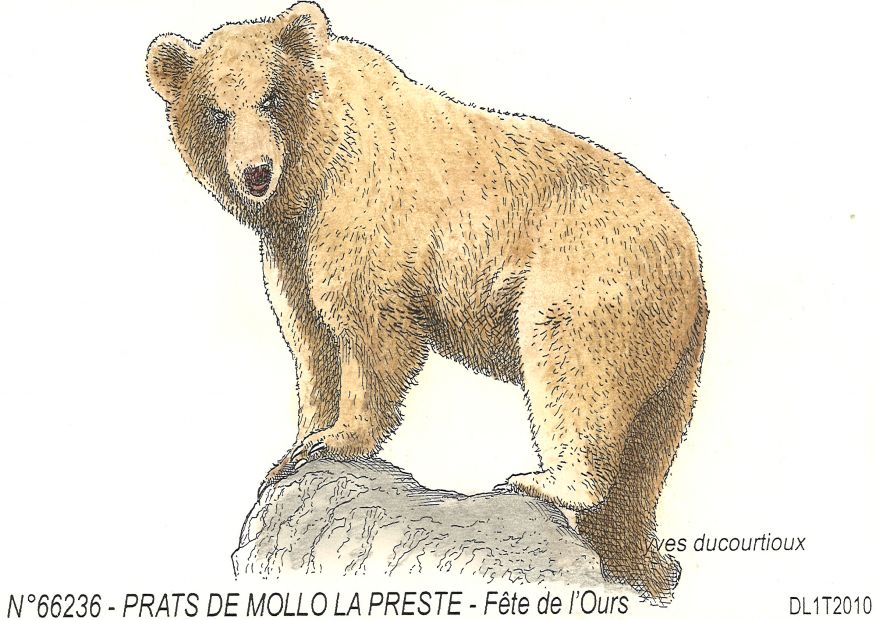 N 66236 - PRATS DE MOLLO LA PRESTE - fte de l ours