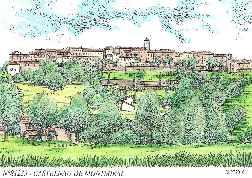N 81233 - CASTELNAU DE MONTMIRAL - vue