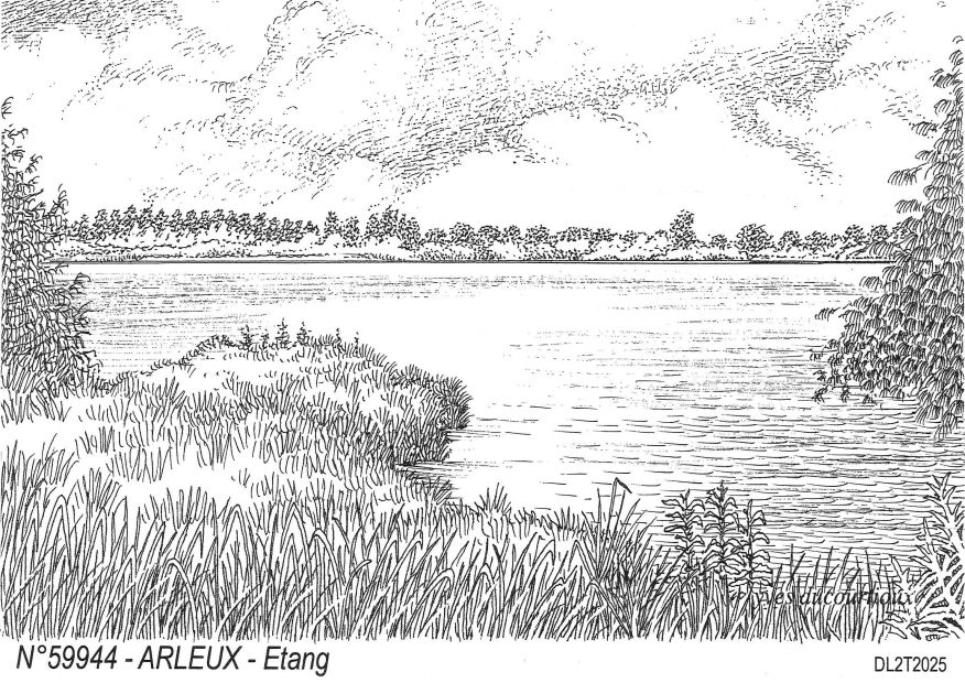 CCC<span class='titre_modal' >N 59944</span>