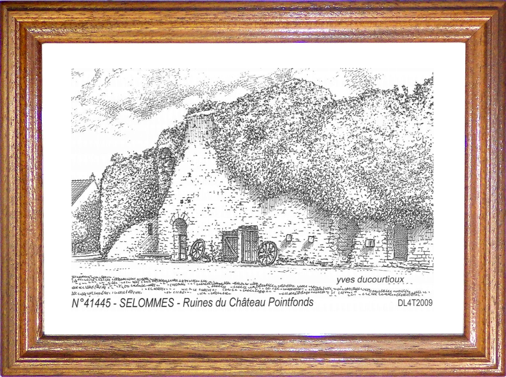 N 41445 - SELOMMES - ruines du chteau pointfonds