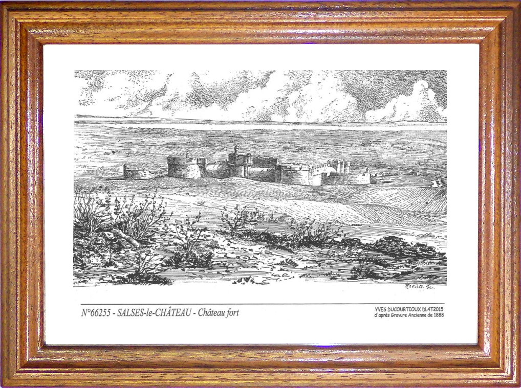 N 66255 - SALSES LE CHATEAU - chteau fort