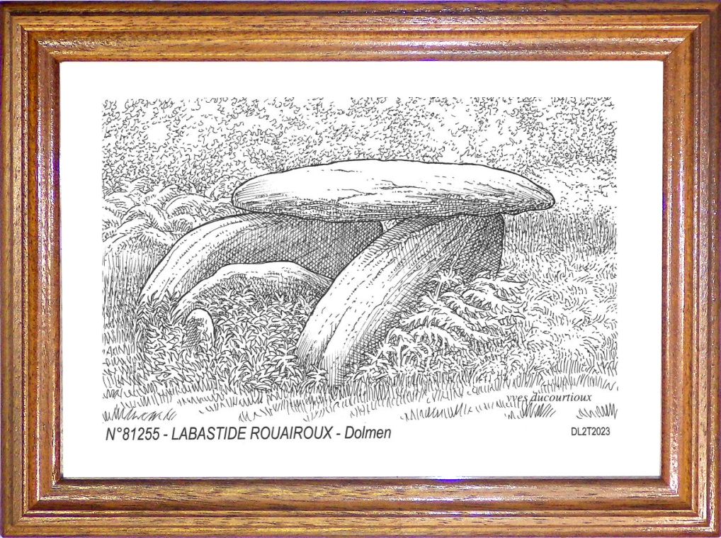 N 81255 - LABASTIDE ROUAIROUX - dolmen